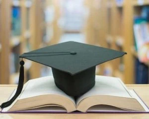 Найуспішніші випускники залишаться за кордоном - експерт про запровадження грантів