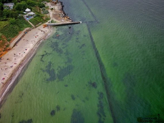На пляжах Одеси позеленіла вода: фото та відео