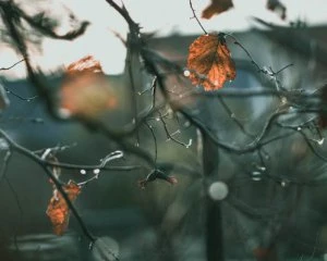 Тепло, але дощитиме: яку погоду обіцяють на вихідних