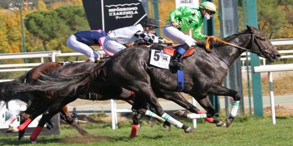 El «Afterwork» de los viernes sigue triunfando en el Hipódromo de Madrid