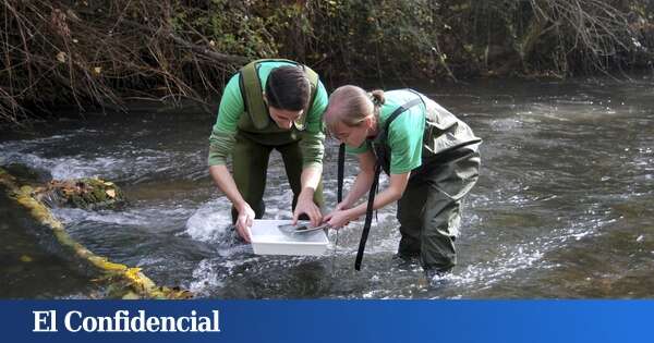 Hallan en el río Henares el cuerpo sin vida de una joven de 27 años desaparecida este miércoles en Alcalá (Madrid)