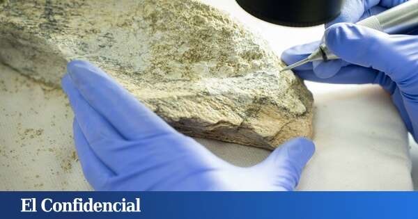 Este hallazgo cambia la prehistoria humana: herramientas de hueso de hace 1,5 M de años