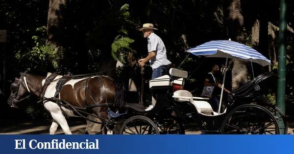 Adiós a los coches de caballos en esta emblemática ciudad andaluza: 25 carruajes se quedarán en el paro este 2025