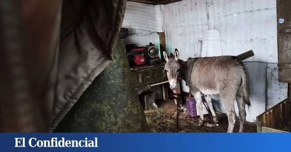 La última muestra del desastre de los blindados de Putin en Ucrania: Rusia está usando burros