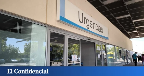 Herida una mujer de 43 años tras atropellar con su patinete a un perro en Lardero (La Rioja)