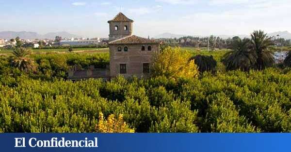 Murcia ya tenía su propio Halloween: la tradición centenaria con calabazas que surgió en la Huerta