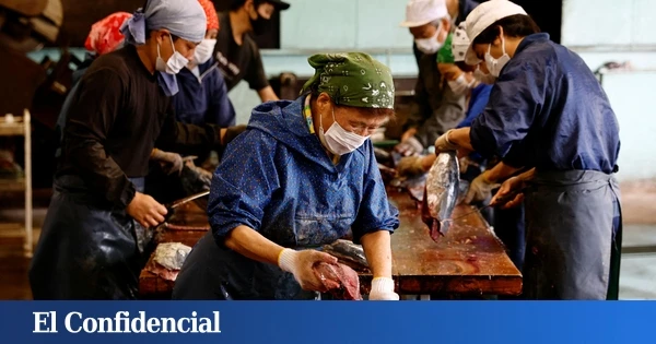 La gran revolución de Japón: un 10% de inmigrantes para 2050