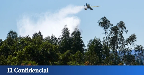 Cerca de 40 bomberos forestales y tres medios aéreos combaten un incendio en Alcaucín (Málaga)
