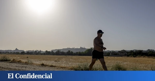 C-LM inicia la reelaboración del Reglamento de Caza tras la anulación del anterior por una sentencia