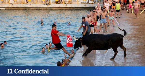 Herido grave por asta de toro un hombre de 63 años en los 'bous a la mar' en Denia (Alicante)