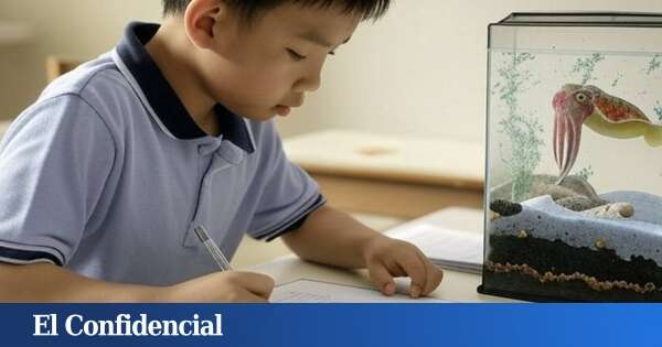 Este animal ha conseguido lo imposible: superar una prueba de inteligencia para niños