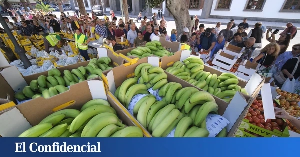 El precio del plátano se dispara, pero los agricultores avisan de que el beneficio se lo llevan otros