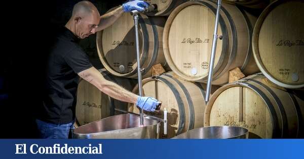 Las mejores bodegas de La Rioja Alavesa para disfrutar del vino y de sus singulares templos, según 'National Geographic'