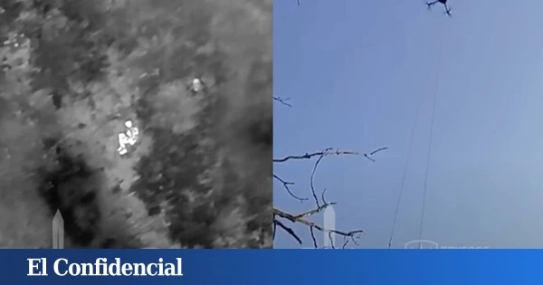 Si la pregunta es: 