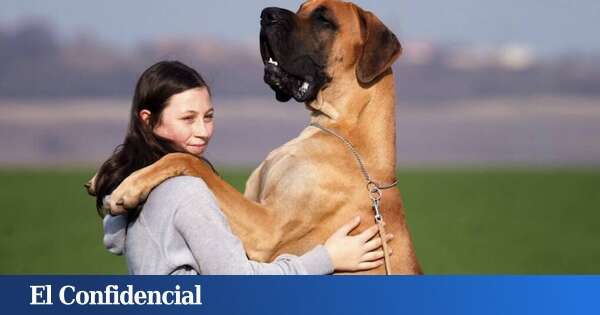 Los animales grandes viven más que los pequeños, menos uno: ahora sabemos por qué