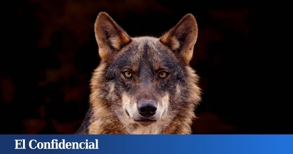 Cantabria se personará en el recurso del Defensor del Pueblo para 