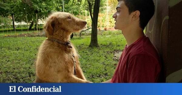 La tierna y divertida película en Netflix de poco más de hora y media, ideal para el fin de semana: dos hermanos, una furgo y un perro