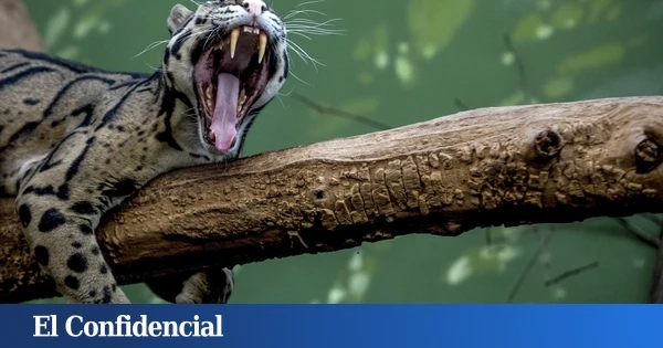 Científicos asombrados por la 