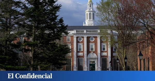 ¿Vas a poder enviar a tus hijos a Harvard? Esto es lo que se sabe por ahora de la prohibición del gobierno Trump