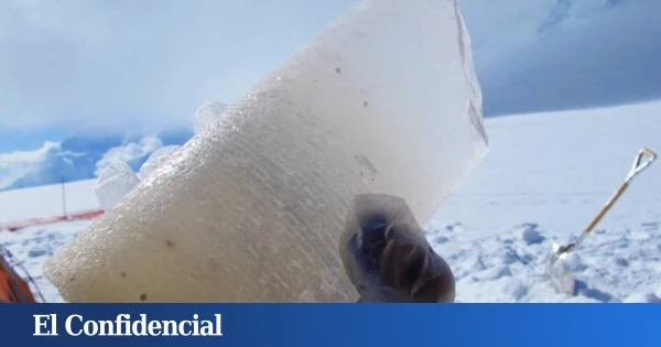 Perforan el hielo antártico y consiguen extraer una 'reliquia' atmosférica con 5 millones de años