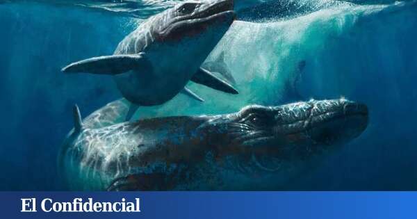 Encontraron restos de un monstruo marino: la ciencia debe determinar ahora si el hallazgo es real