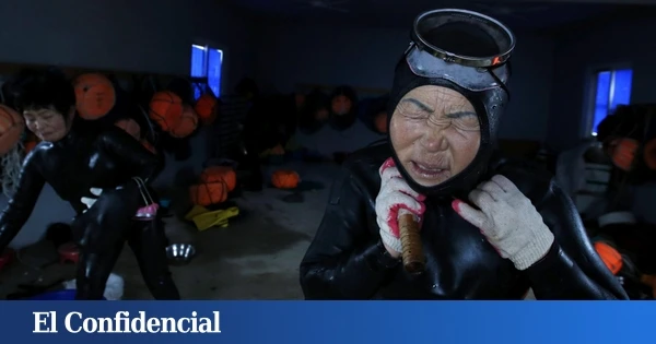 Ni la vista ni el oído: otro rasgo ha evolucionado ante nuestros ojos en Corea del Sur
