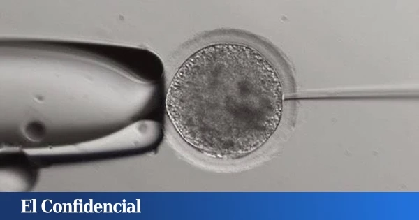 Analizan el esperma de los hombres y descubren que deberías pensarte dos veces ser padre a partir de cierta edad