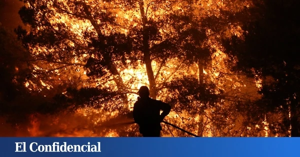 Cómo controlar el gran bosque de España: 30 satélites y cámaras para combatir incendios en CyL