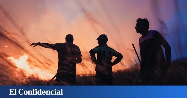 El doble drama de Ourense: los incendios ponen en jaque la cosecha a pocos días de la vendimia