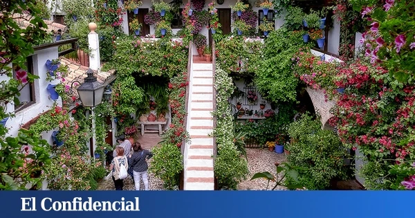 Ya está aquí la Fiesta de los Patios de Córdoba: horario, programa y lugares imprescindibles