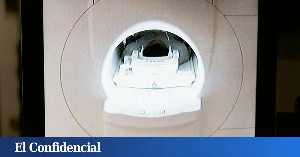Estudian el cuerpo humano y descubren que el hábito español de almorzar a las 3 y cenar a las 9 es mala idea