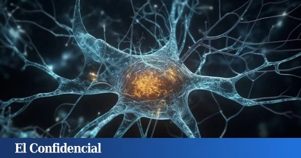 Las neuronas artificiales que pueden sustituir a las reales para reparar cerebros con alzhéimer