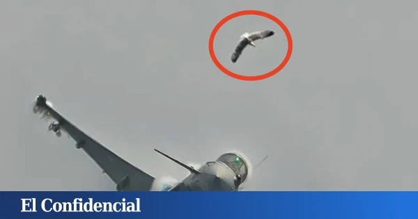 Esto es lo que pasa cuando un Eurofighter español choca contra un pájaro: salen a la luz las imágenes del incidente