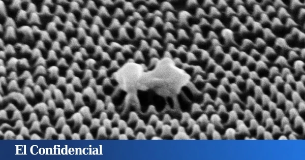 Australia asegura haber creado un nuevo tipo de plástico que destruye la mayor amenaza invisible para el ser humano: virus y bacterias