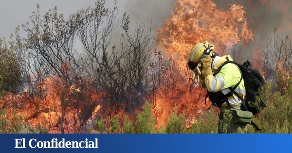 El brigadista pirómano de Ávila no es un caso aislado: 