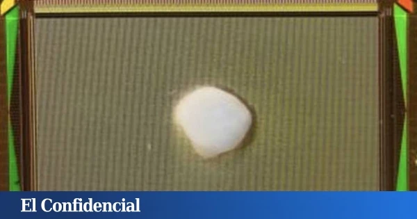 Brainoware: así es un ordenador construido con tejido cerebral humano