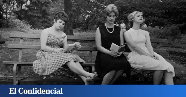 ¿En EEUU han perdido el gusto por leer? La lectura placentera ha caído un 40% en 20 años