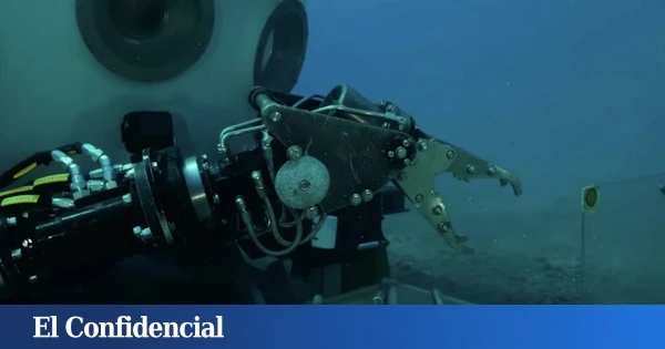 Japón desciende a 800 metros de profundidad y encuentra un ser vivo desconocido hecho de vidrio