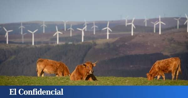 Los gallegos que convivan con parques eólicos en su municipio tendrán la luz a mitad de precio