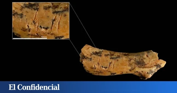 Los huesos de un niño canibalizado reafirman esta práctica entre humanos en Atapuerca