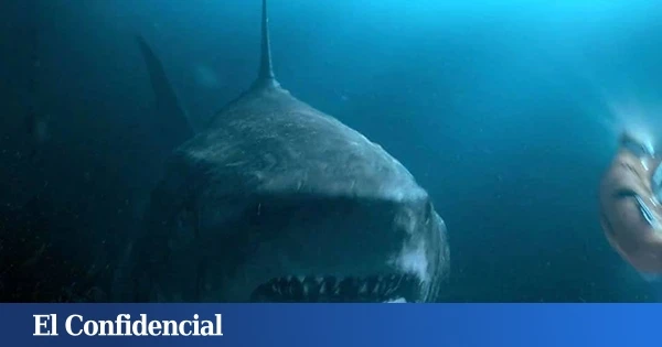 Analizan un diente de megalodón y descubren que estábamos muy equivocados sobre su dieta