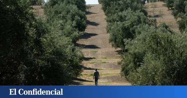 Detenida la mujer del empresario acusado de la desaparición de un jornalero senegalés