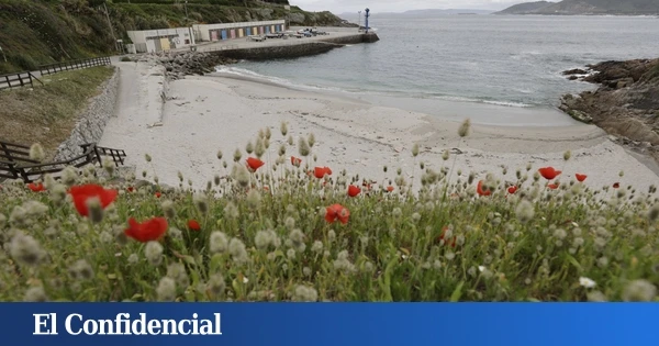 Un total de 108 playas con Bandera Azul en Galicia 2025: listado completo por provincias