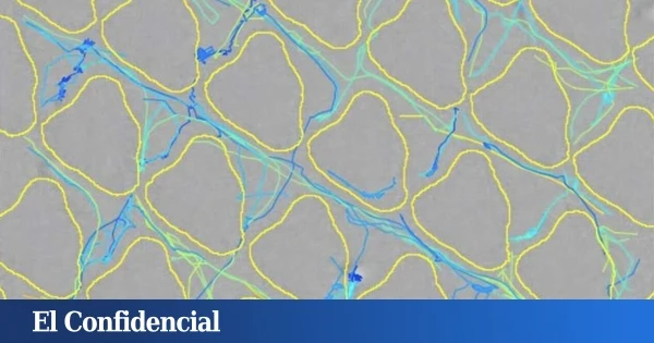 Crean un nuevo tipo de plástico que previene el que será uno de los mayores problemas del siglo XXI