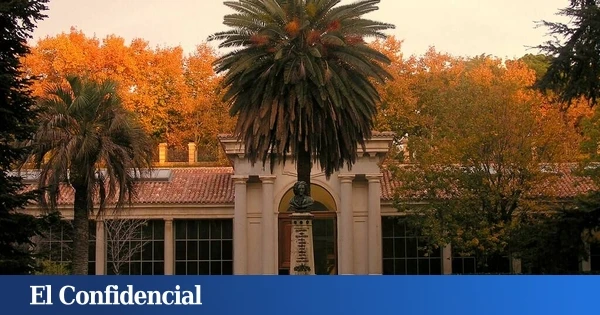 Cine gratis en el Jardín Botánico de Madrid: todas las películas que puedes ver, fechas y cómo conseguir entradas