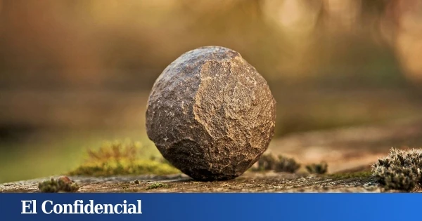 Rompen una roca y encuentran un 'tesoro' biológico con 2.000M de años que se creía imposible