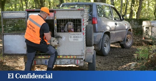 La caza genera 10.190 M de PIB en España al año y mantiene 199.000 puestos de trabajo