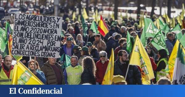 Miles de agricultores rechazan en Madrid los acuerdos comerciales que 