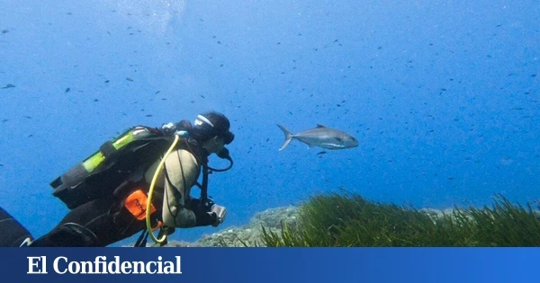 La Bluewave Alliance produce dos nuevos documentales de 'Waves of Tomorrow'