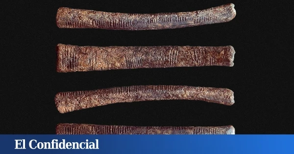 Así surgieron los números: cuando sobrevivir dependía del concepto de cantidad
